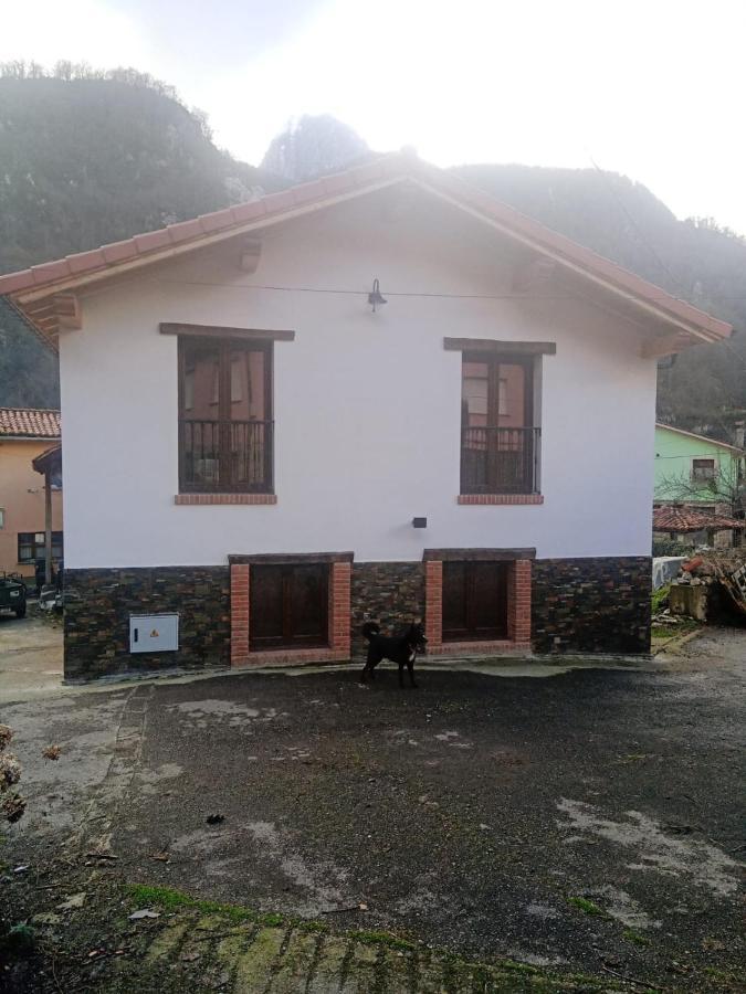 Casa Rural Gueilones, Parque Natural De Ponga Собрефос Экстерьер фото